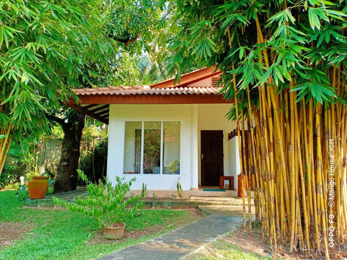 Mango House Japanese Guest House Negombo Exterior photo